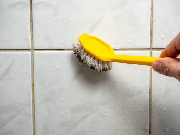 Best Mold Remediation for Schools in Marshall, MO