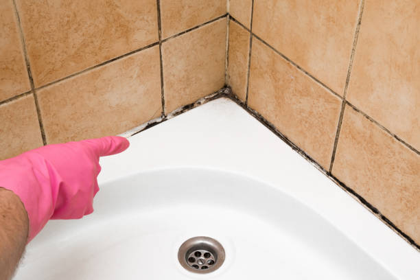 Best Bathroom Mold Remediation in Marshall, MO